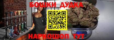 меф Гатчина